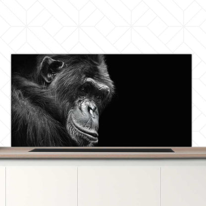Spatscherm - Chimpansee