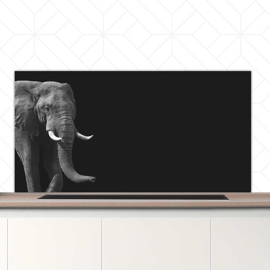 Spatscherm - Afrikaanse olifant