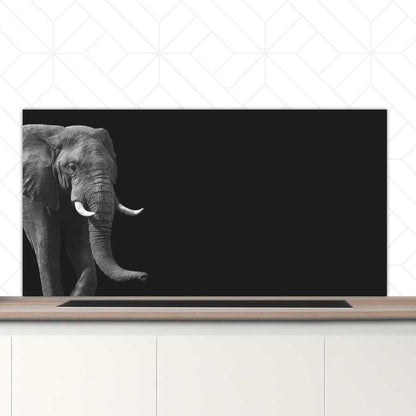 Spatscherm - Afrikaanse olifant