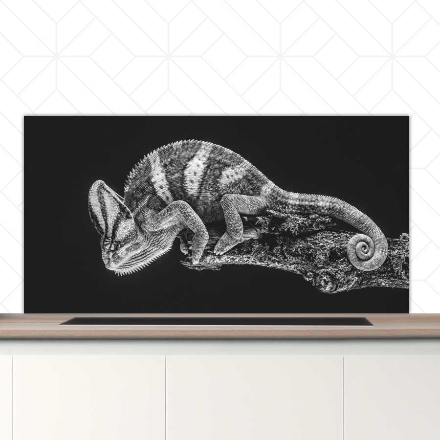 Spatscherm - Kameleon