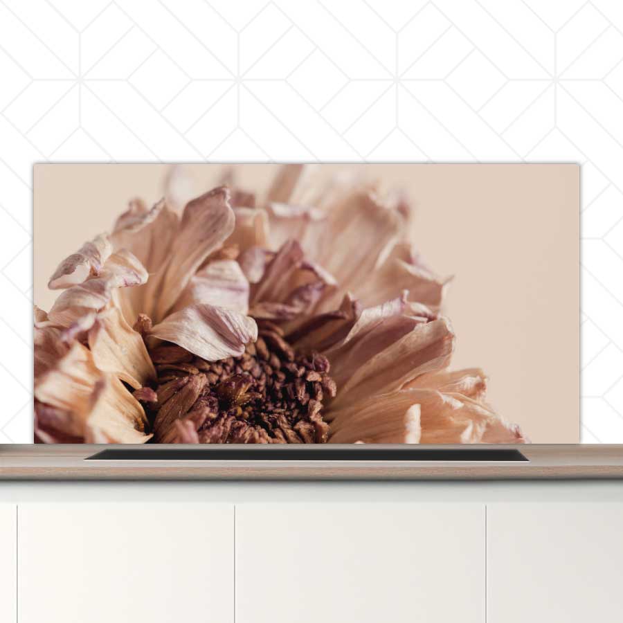 Spatscherm - Gedroogde chrysant