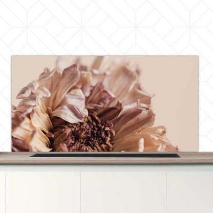 Spatscherm - Gedroogde chrysant