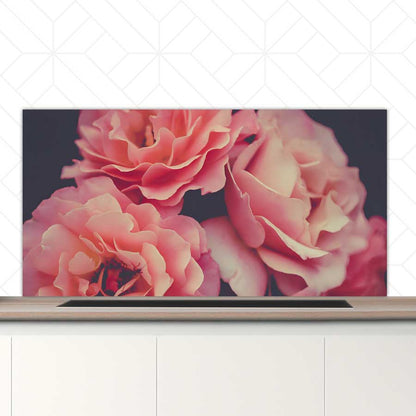 Spatscherm - Rozen close-up