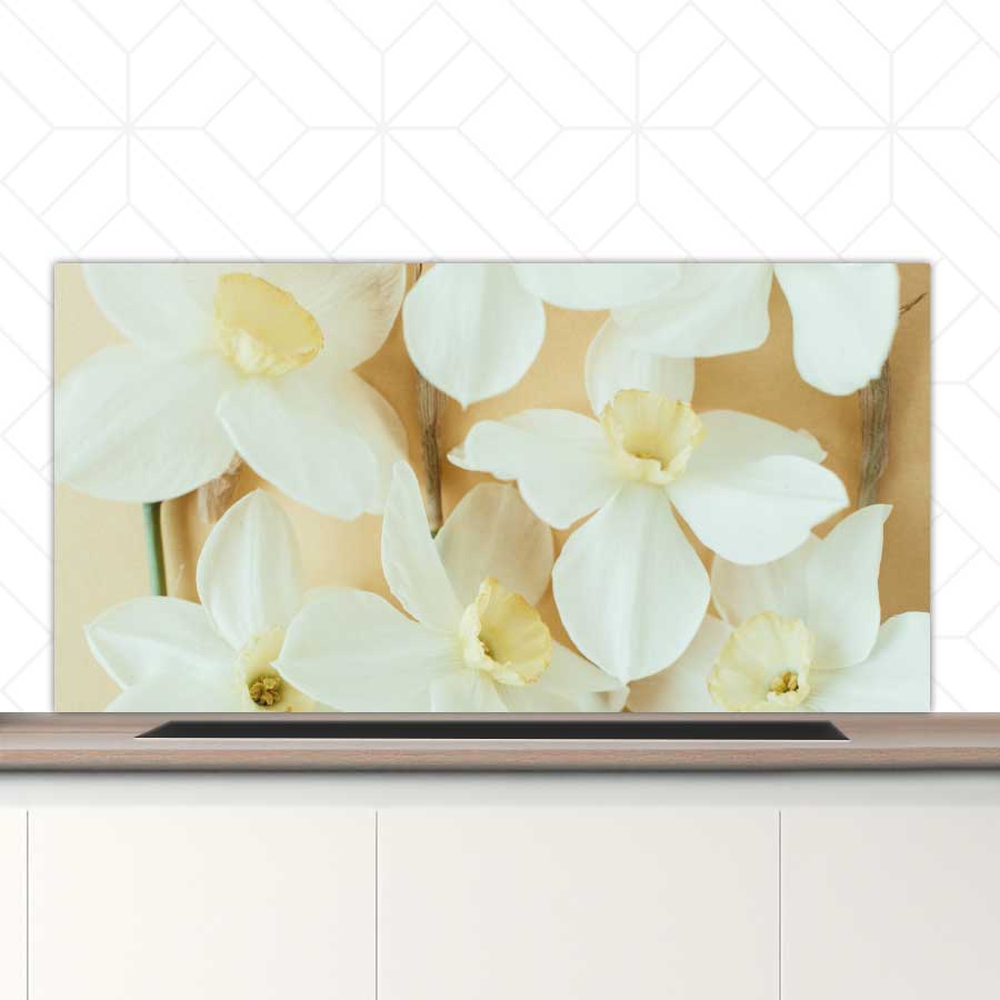 Spatscherm - Narcissen