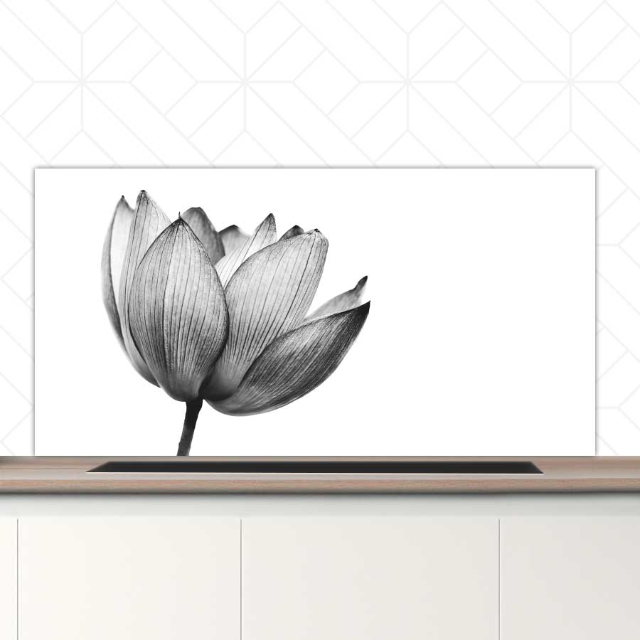 Spatscherm - Lotus in zwart-wit