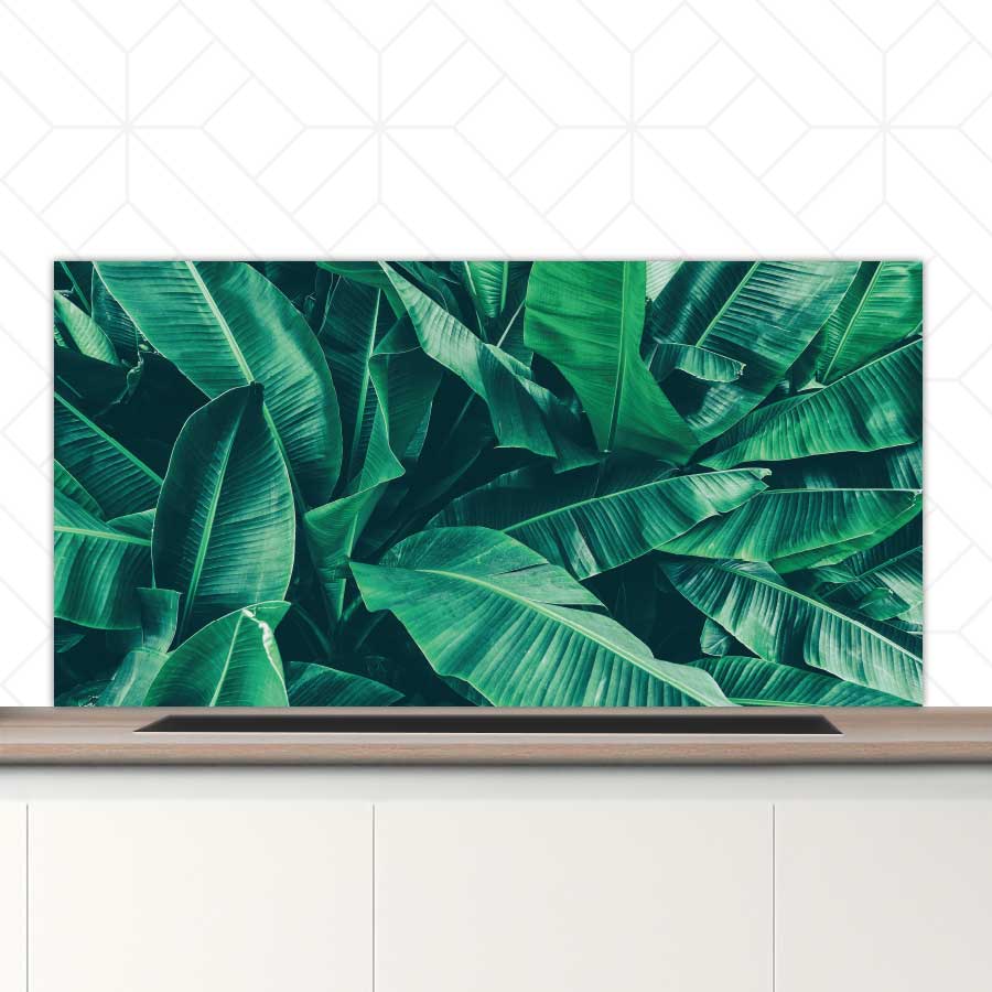 Spatscherm - Tropische bladeren