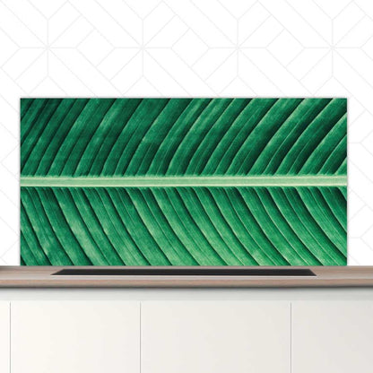 Spatscherm - Groen blad