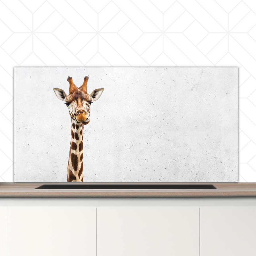 Spatscherm - Funny giraf beton