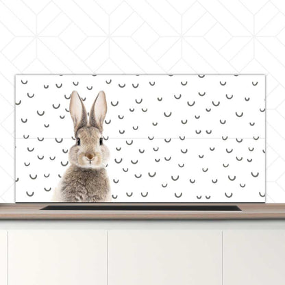 Spatscherm - Funny konijn fugler