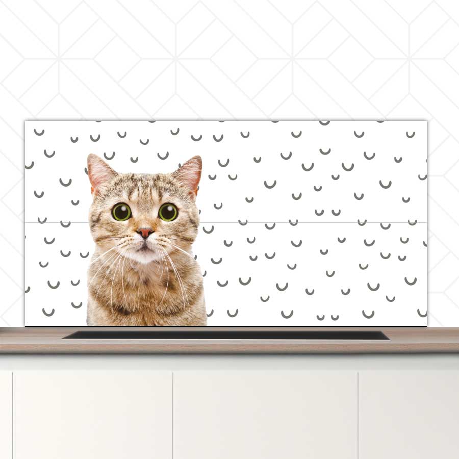 Spatscherm - Funny kat fugler