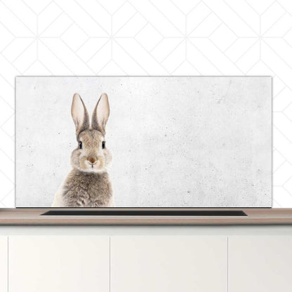 Spatscherm - Funny konijn beton