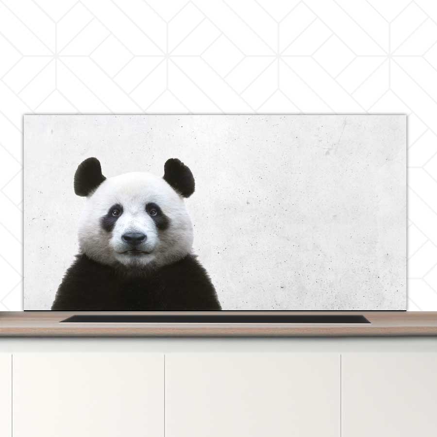 Spatscherm - Funny panda beton