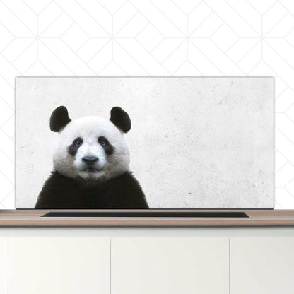 Spatscherm - Funny panda beton