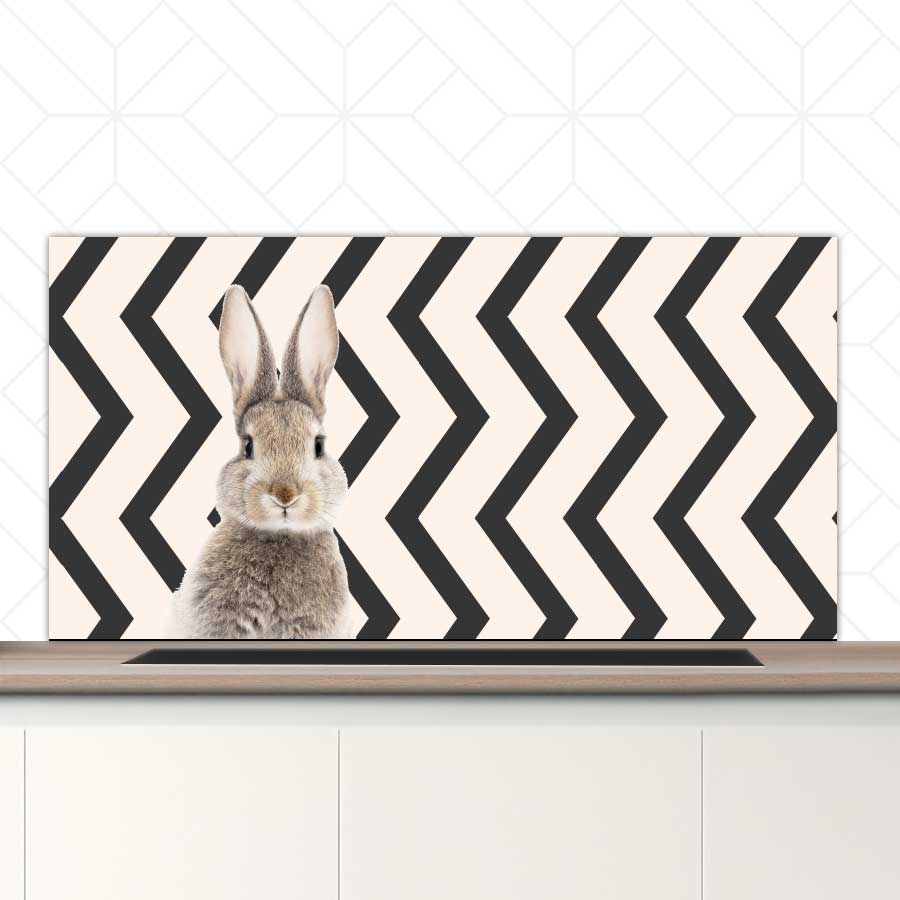 Spatscherm - Funny konijn zigzag