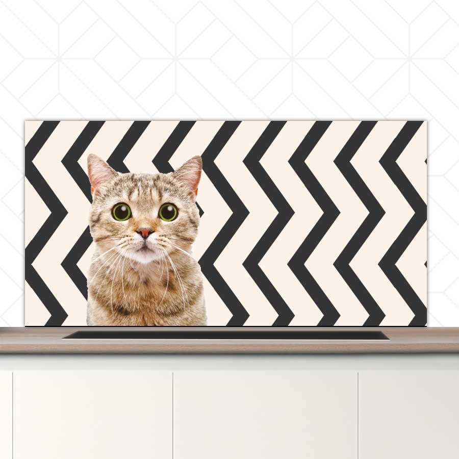Spatscherm - Funny kat zigzag