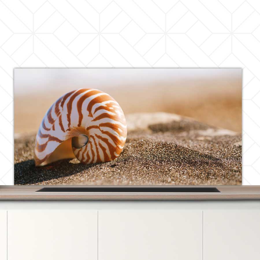 Spatscherm - Zeeschelp