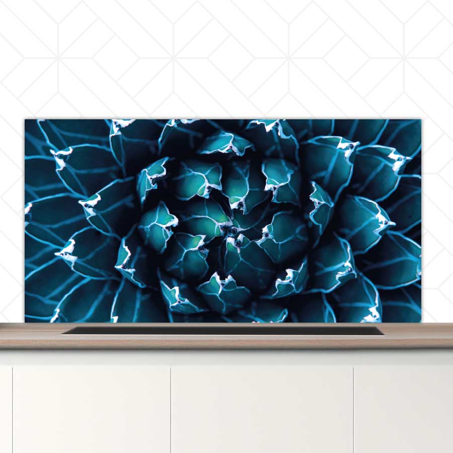 Spatscherm - Blauwe agave