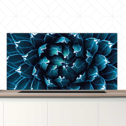 Spatscherm - Blauwe agave