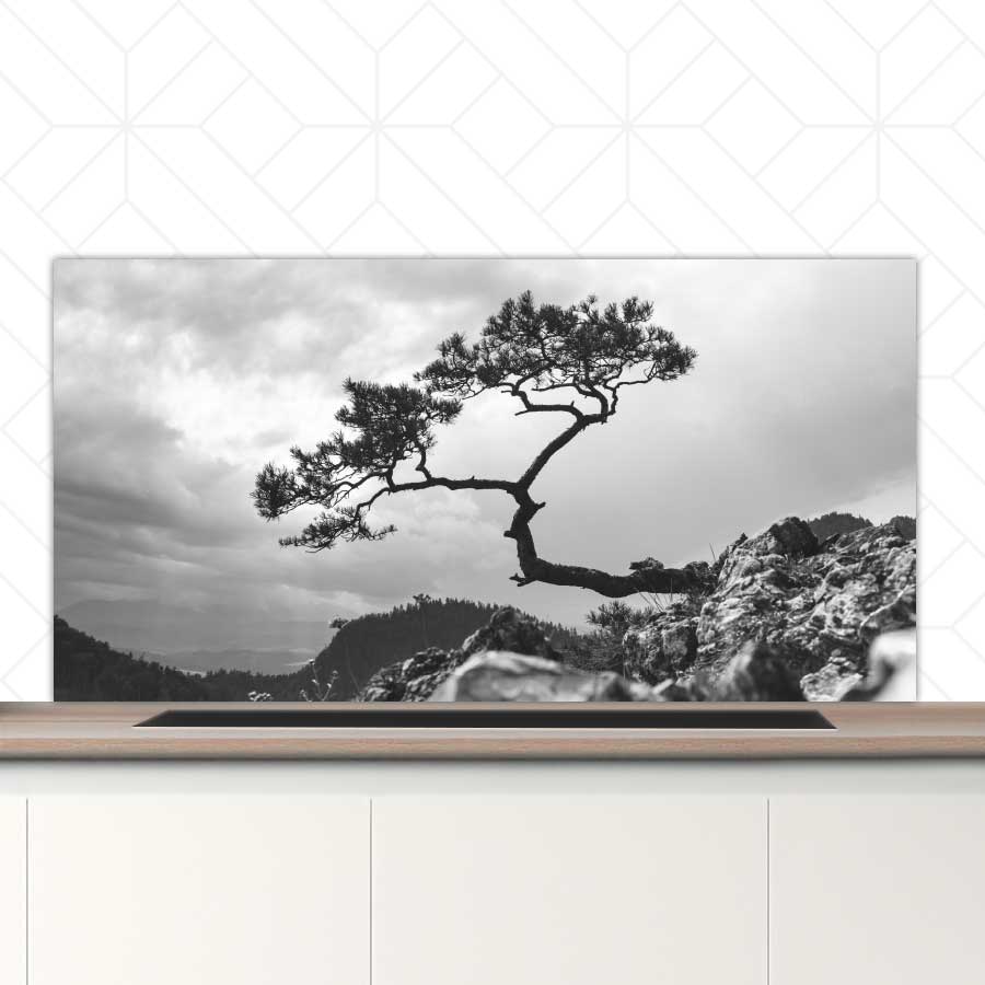 Spatscherm - Overhangende boom