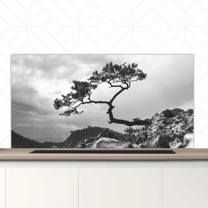 Spatscherm - Overhangende boom