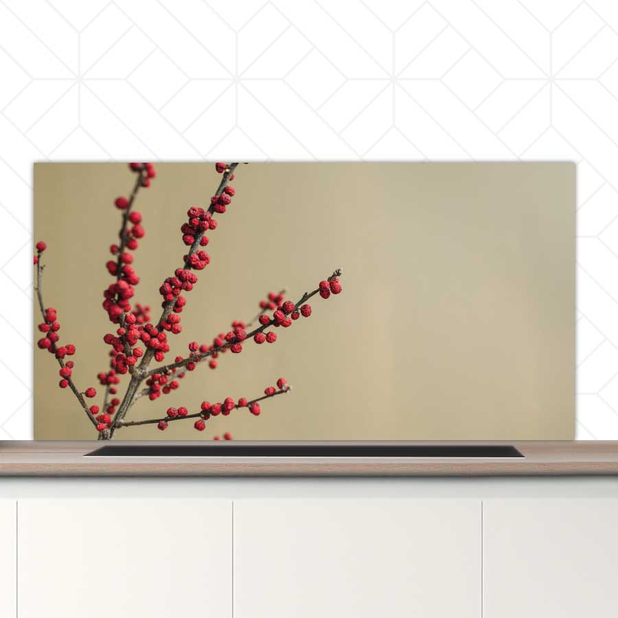 Spatscherm - Rode bessen