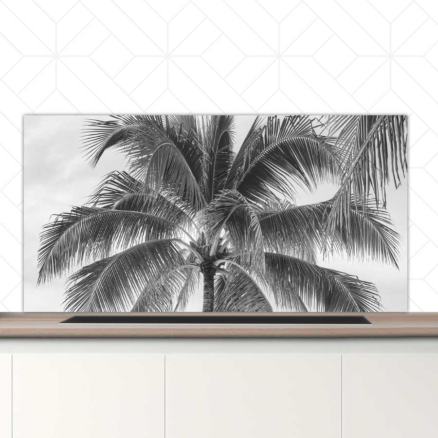 Spatscherm - Palmboom