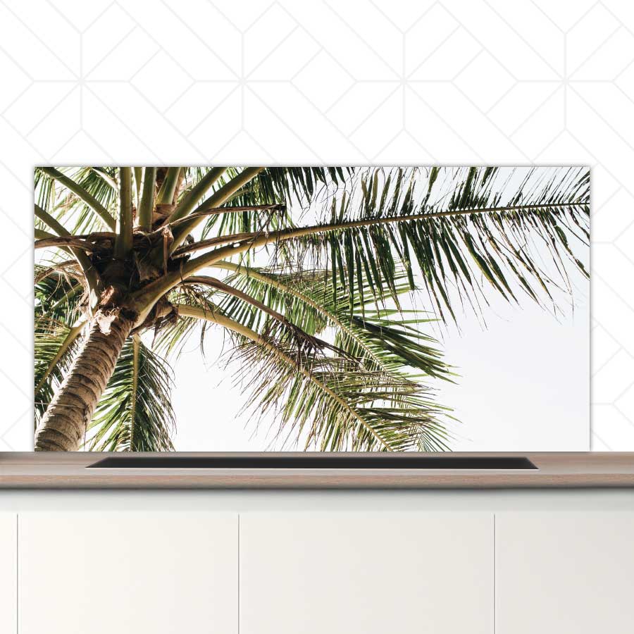 Spatscherm - Palmstrand