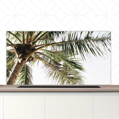 Spatscherm - Palmstrand