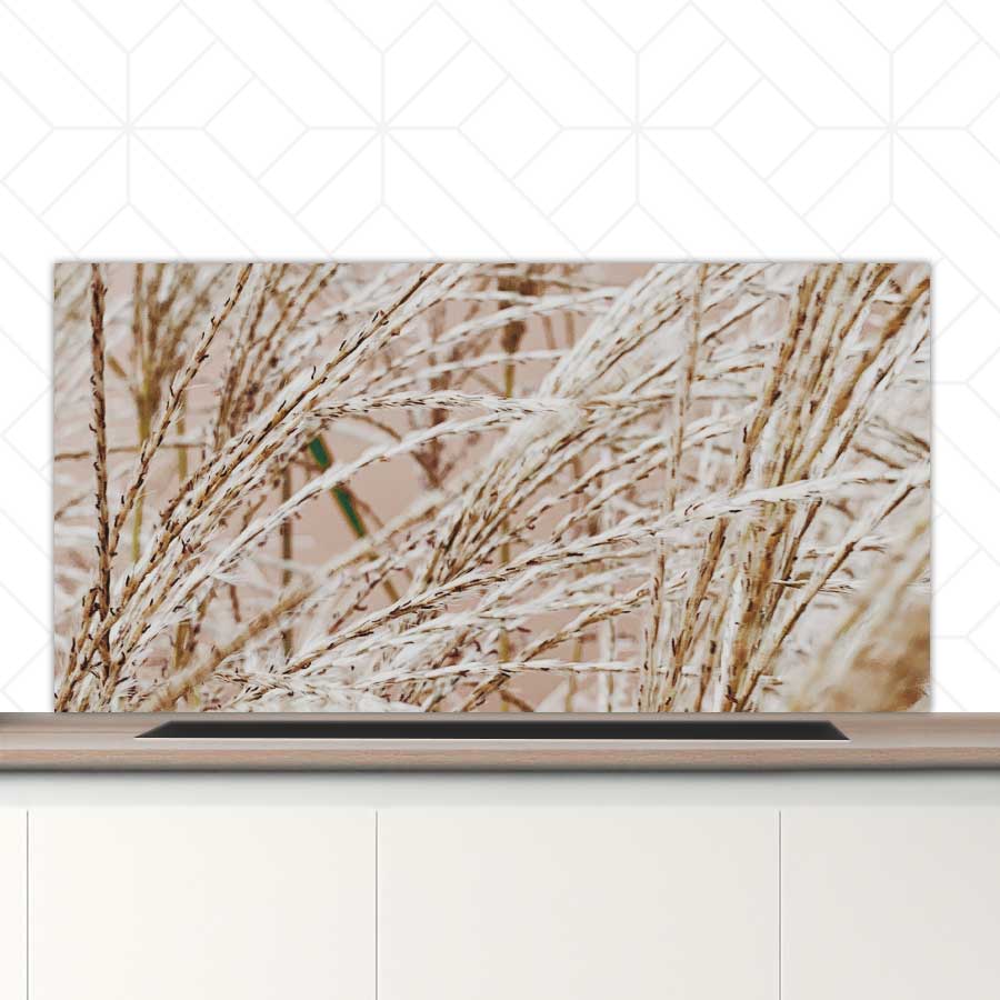 Spatscherm - Droge rietstengels