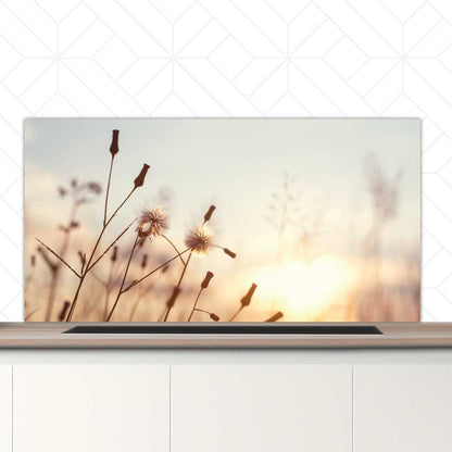 Spatscherm - Dandelion zonsondergang