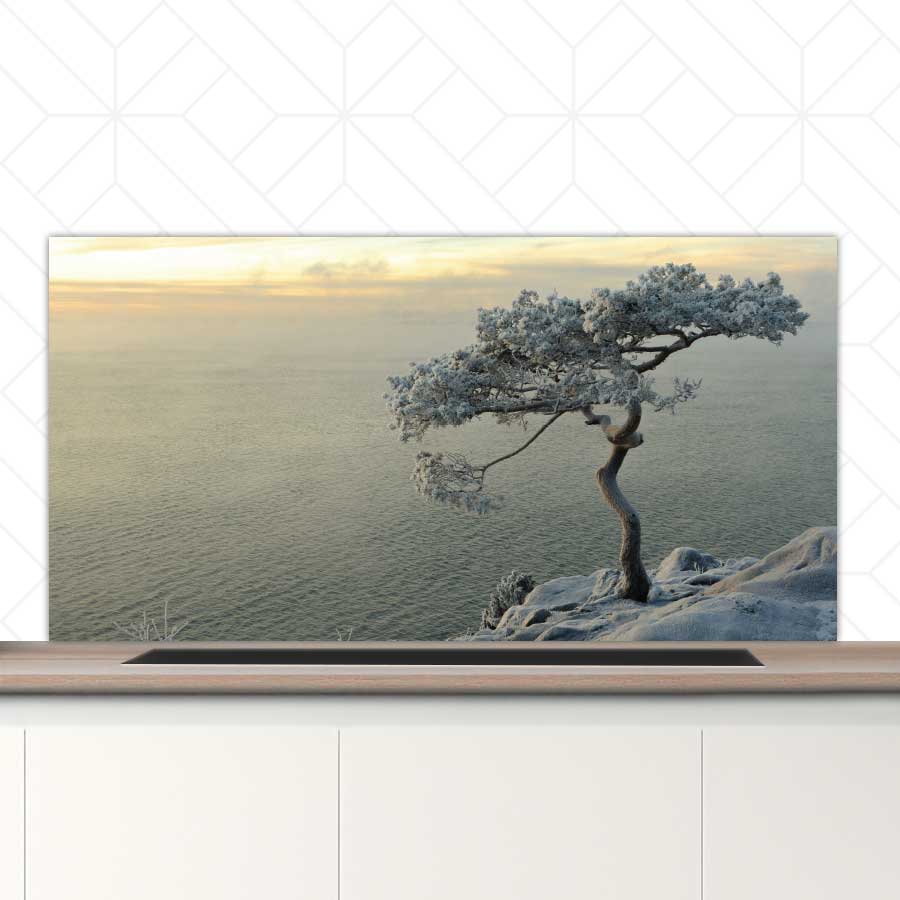 Spatscherm - Winterboom