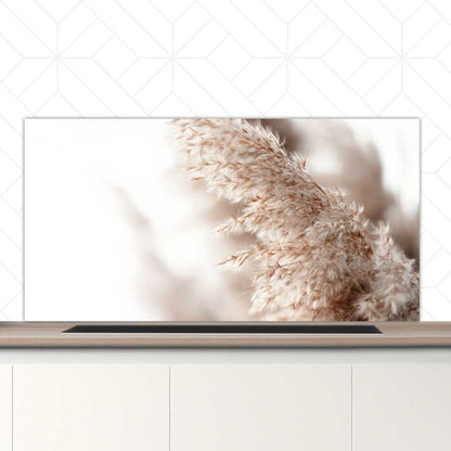 Spatscherm - Pampas gras