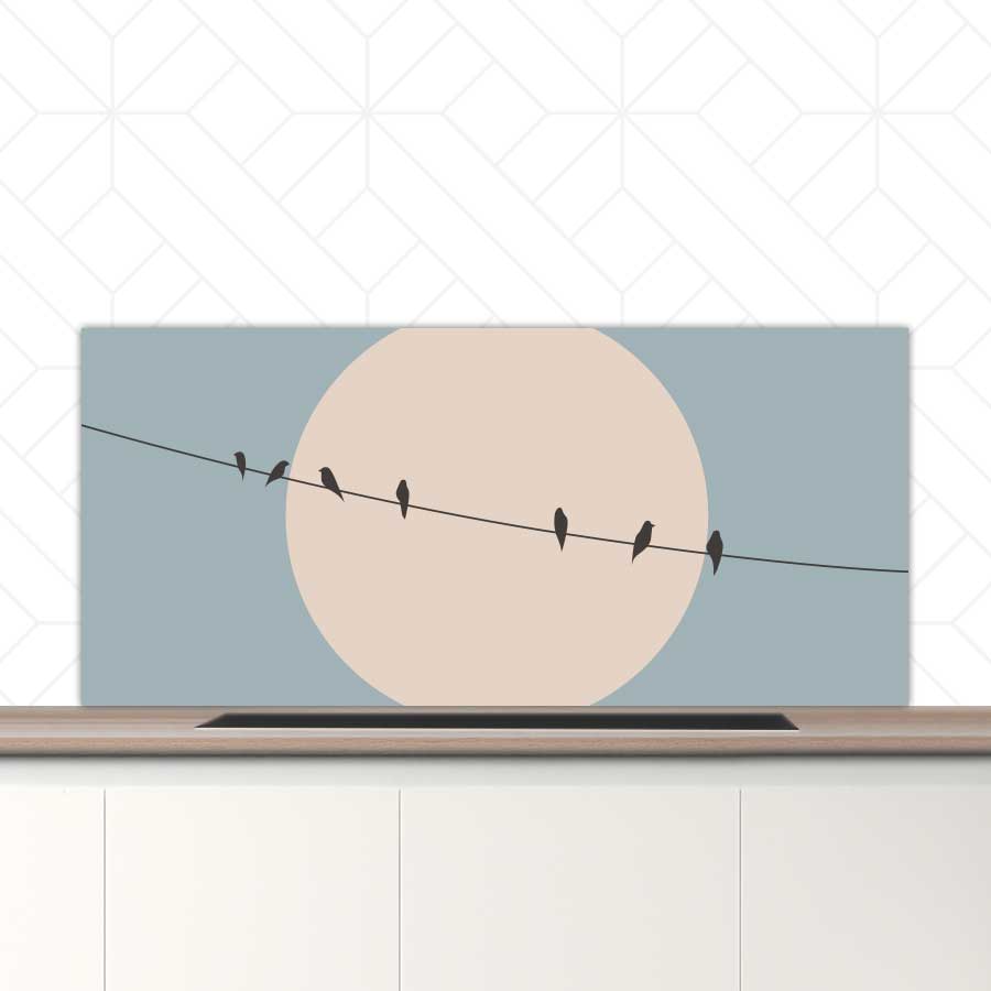 Spatscherm - Vogels op een draad
