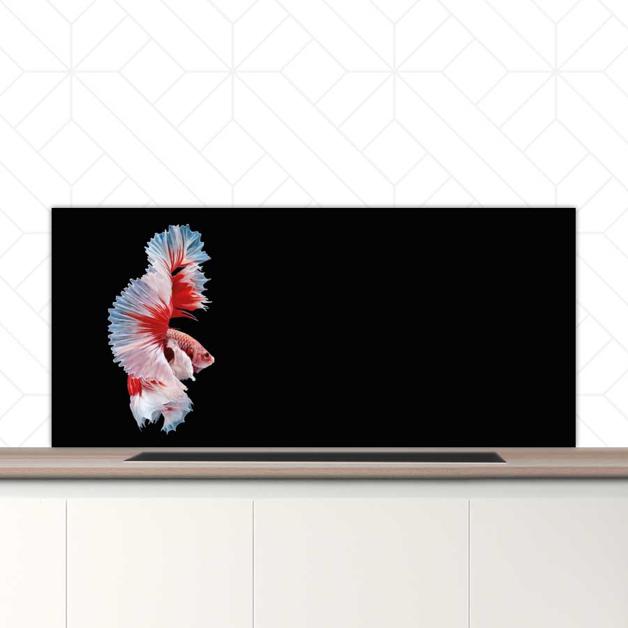 Spatscherm - Betta vis