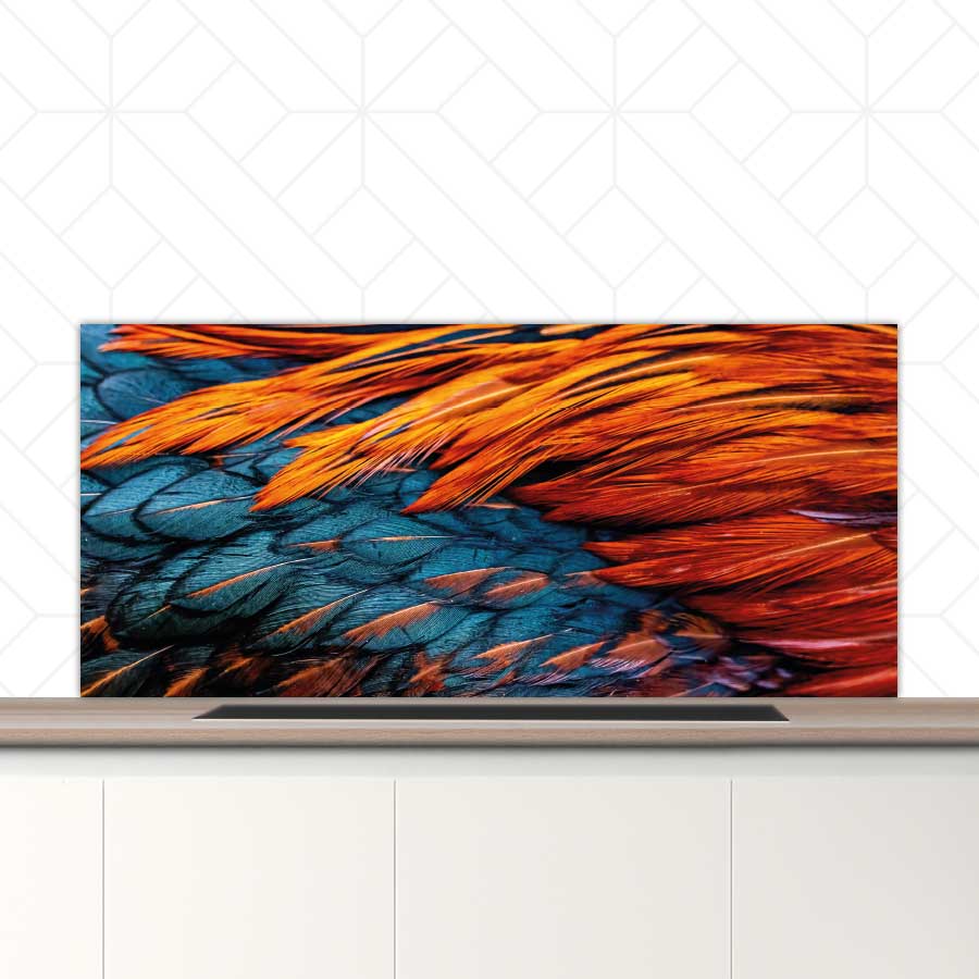 Spatscherm - Hanenveer