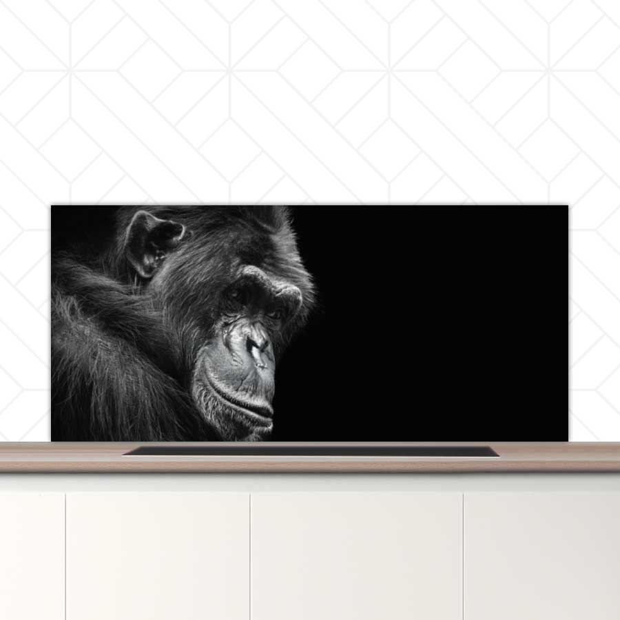 Spatscherm - Chimpansee