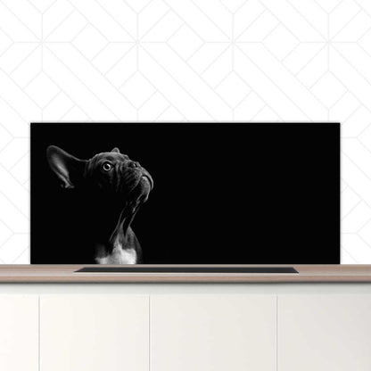 Spatscherm - Franse bulldog