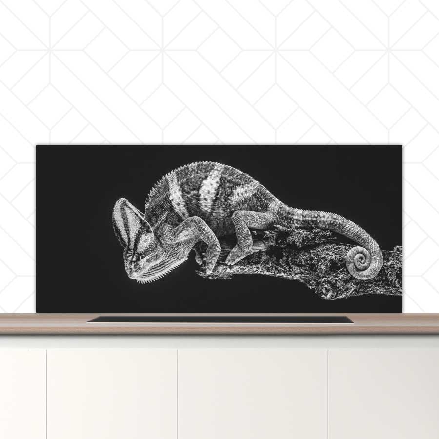 Spatscherm - Kameleon