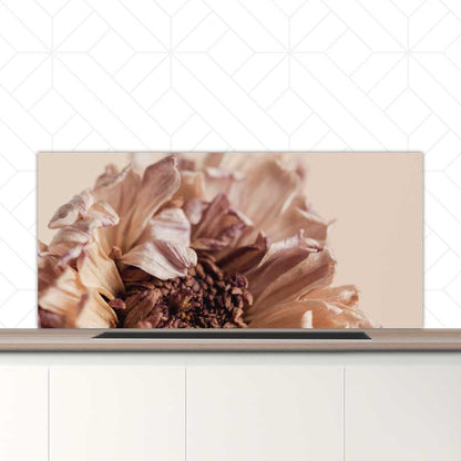 Spatscherm - Gedroogde chrysant