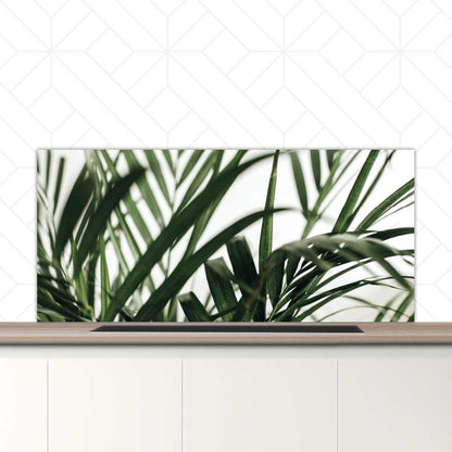 Spatscherm - Palm bladeren