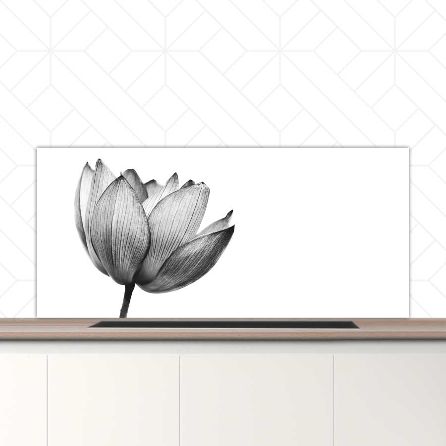 Spatscherm - Lotus in zwart-wit