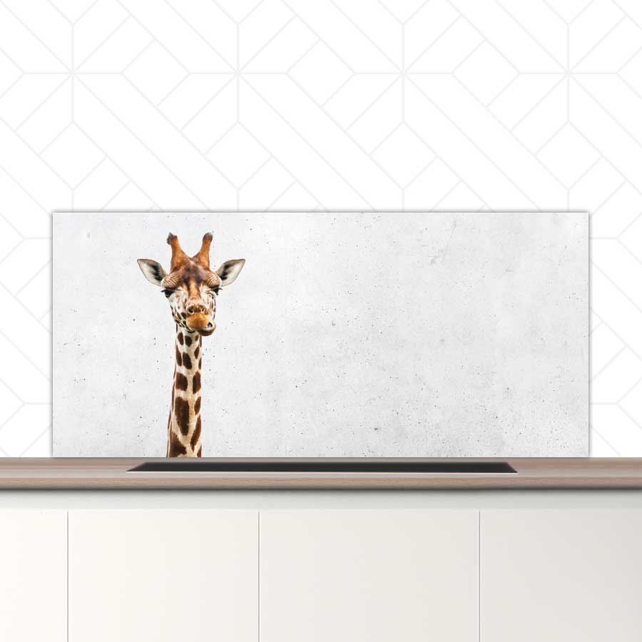 Spatscherm - Funny giraf beton