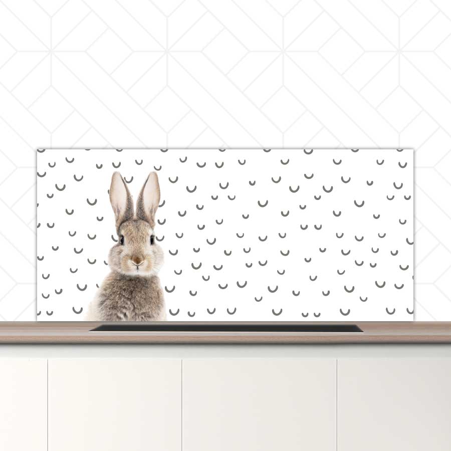 Spatscherm - Funny konijn fugler