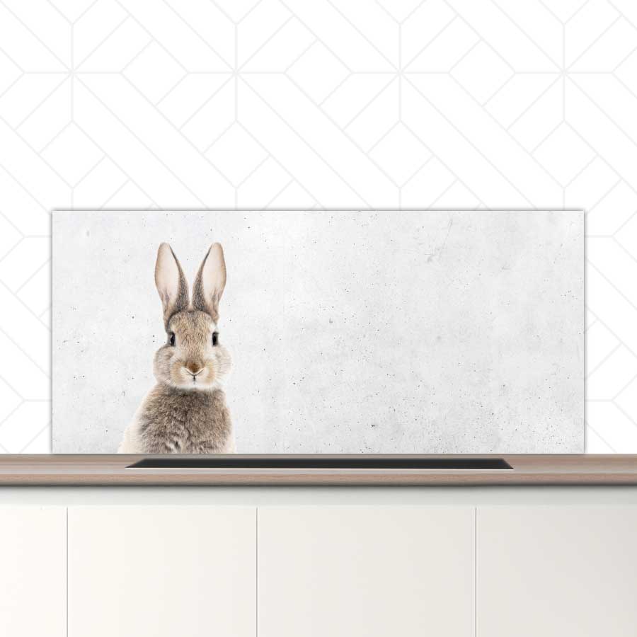 Spatscherm - Funny konijn beton