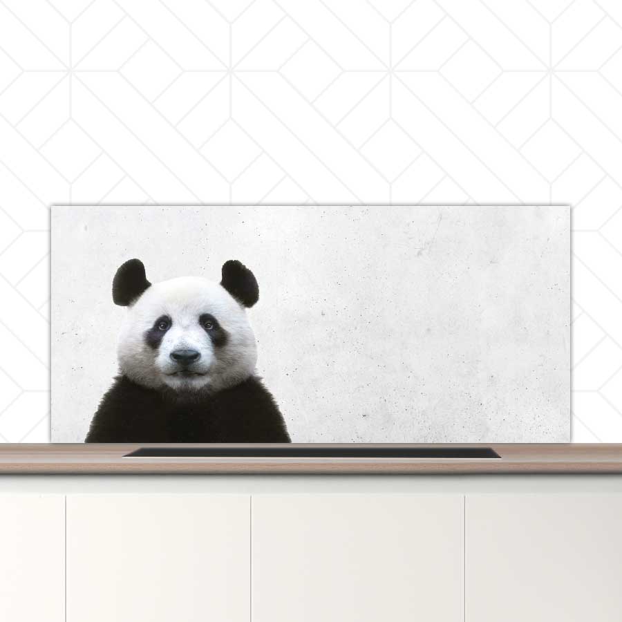 Spatscherm - Funny panda beton