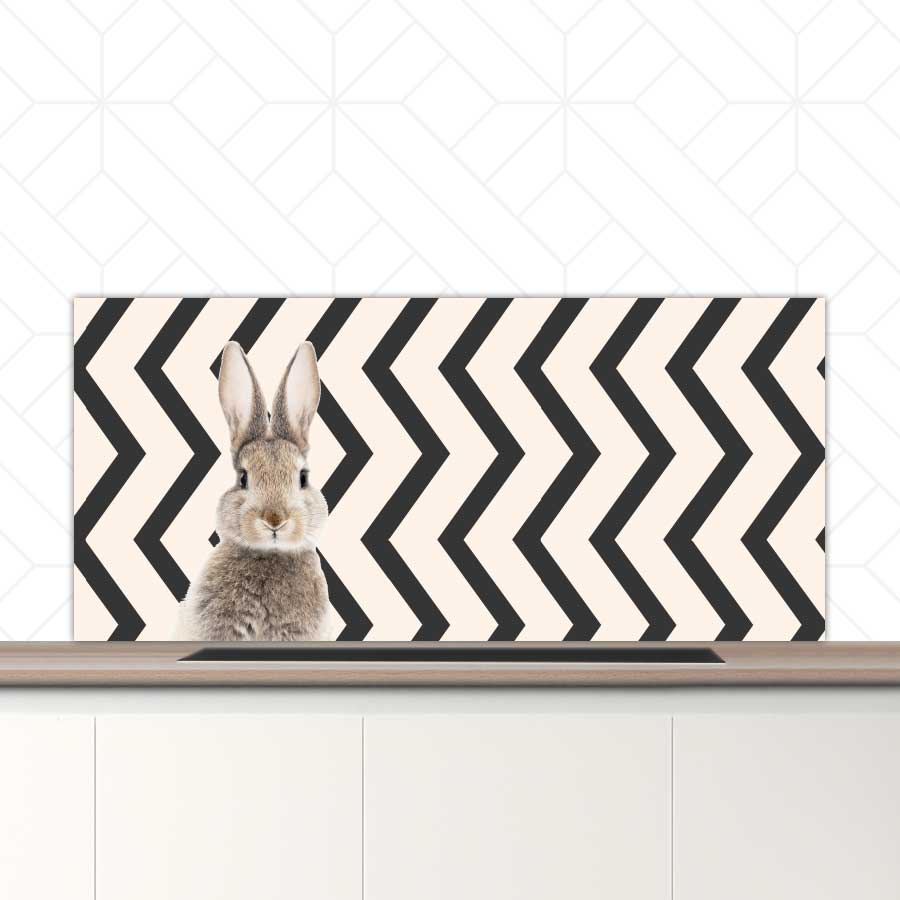 Spatscherm - Funny konijn zigzag