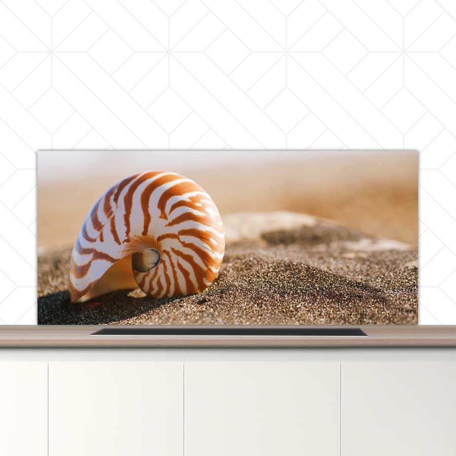 Spatscherm - Zeeschelp