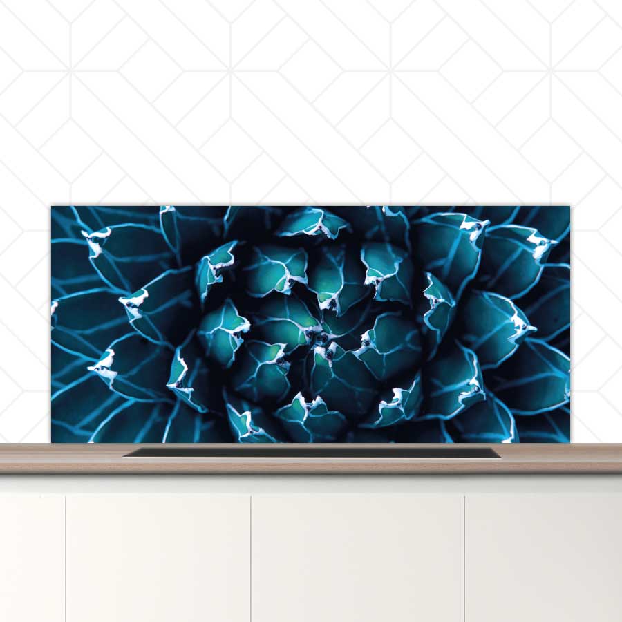Spatscherm - Blauwe agave