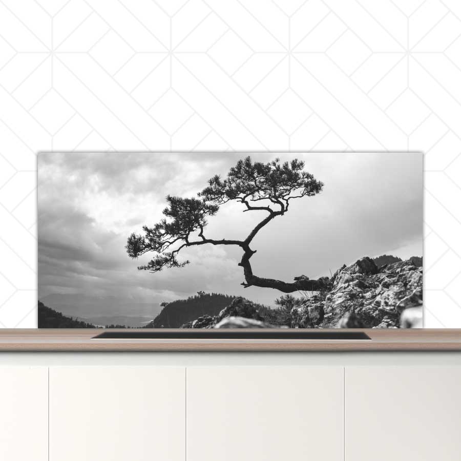 Spatscherm - Overhangende boom