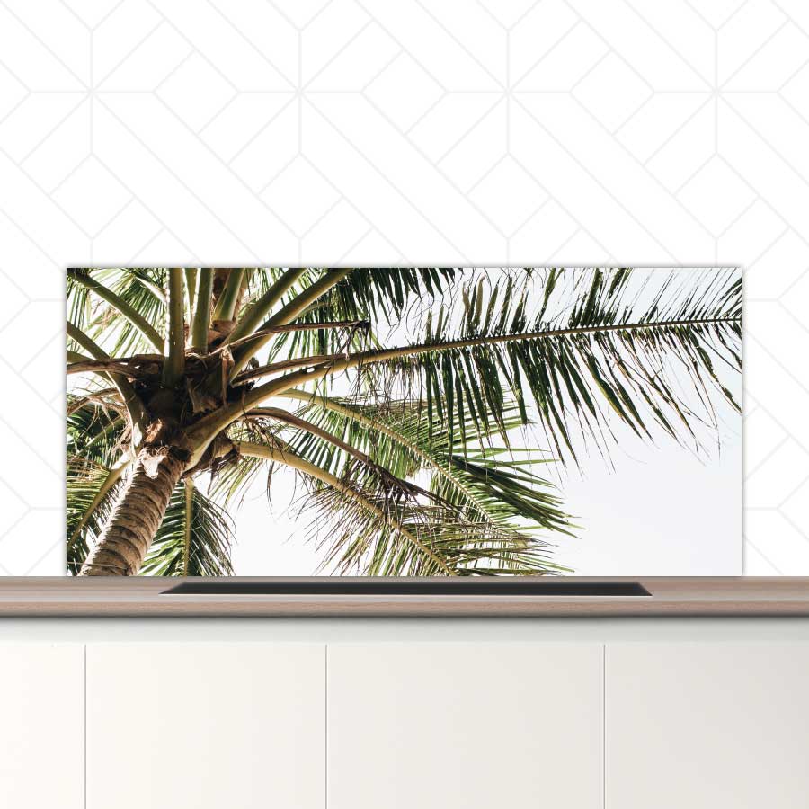 Spatscherm - Palmstrand